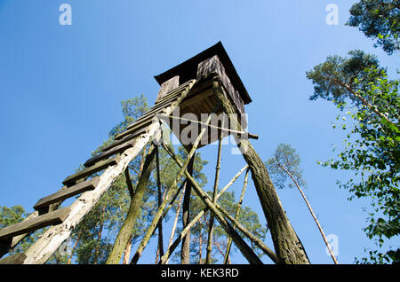 Blick auf einen hölzernen Jagd Post in einem Wald unter blauem Himmel Stockfoto