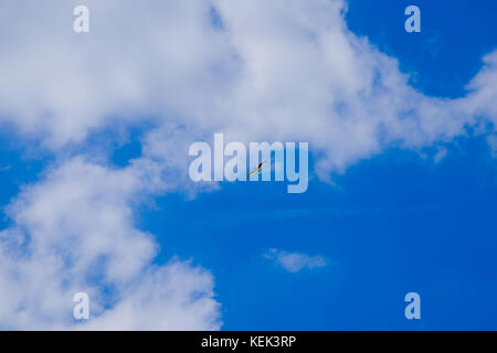 Blick auf eine fliegende Möwe unter einem blauen Himmel mit Weiße Wolken an einem sonnigen Sommertag Stockfoto