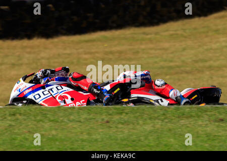 Melbourne, Australien. Oktober 2017. MotoGP Bikes beim Michelin Australian Motorcycle Grand Prix 2017 beim Michelin Australian Motorcycle Grand Prix 2017, Australien am 22. Oktober 2017. Quelle: Dave Hewison Sports/Alamy Live News Stockfoto