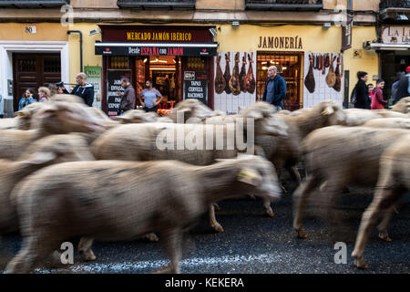 Madrid, Spanien. Oktober 2017. Schafe überqueren die Straßen während des jährlichen Wanderweh-Festivals in Madrid, Spanien. Quelle: Marcos del Mazo/Alamy Live News Stockfoto