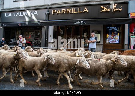 Madrid, Spanien. Oktober 2017. Schafe überqueren die Straßen während des jährlichen Wanderweh-Festivals in Madrid, Spanien. Quelle: Marcos del Mazo/Alamy Live News Stockfoto