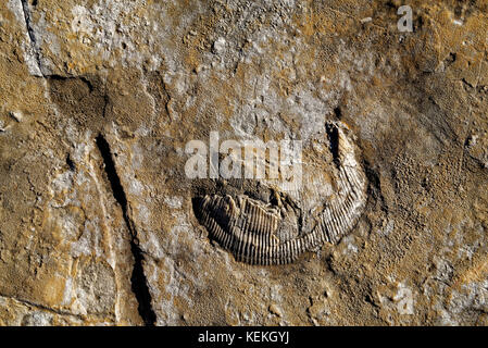 Serras de Aire e candeeiros, war eine Küstenebene etwa 170-166 Millionen Jahren (mittlerer Jura). Stockfoto