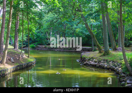 Palanga Botanischer Garten Teich im Sommer Mittag mit Wasser im Vordergrund, Palanga, Litauen, Europa Stockfoto