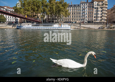 Lyon, Passerelle Saint-Vincent und Schwan Stockfoto