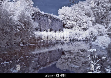 Eine schöne Sommerzeit infrarot Bild entlang der Great Western Canal (Tiverton Kanal) in Richtung Waytown Limeklins in der Nähe von Whipcott Stockfoto