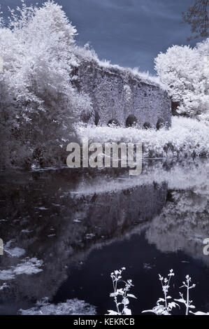 Eine schöne Sommerzeit infrarot Bild entlang der Great Western Canal (Tiverton Kanal) in Richtung Waytown Limeklins in der Nähe von Whipcott Stockfoto