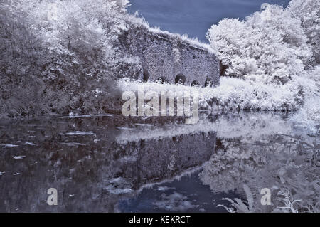 Eine schöne Sommerzeit infrarot Bild entlang der Great Western Canal (Tiverton Kanal) in Richtung Waytown Limeklins in der Nähe von Whipcott Stockfoto