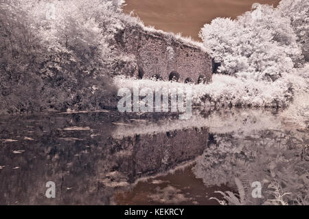 Eine schöne Sommerzeit infrarot Bild entlang der Great Western Canal (Tiverton Kanal) in Richtung Waytown Limeklins in der Nähe von Whipcott Stockfoto