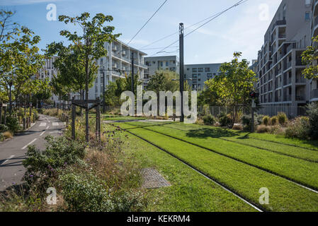 Lyon, begrünte Straßenbahntrasse in einem Neubaugebiet Stockfoto