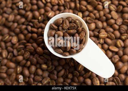 Spezialitäten Kaffee Bohnen in das weiße Plastik Löffel bereit zu einer Tasse Kaffee ein. Stockfoto