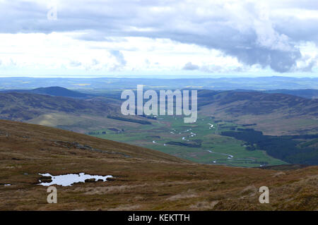 Glen clova vom Gipfel des grünen Hügel in der Nähe der Schottischen berge Corbett ben tirran (Der goet) Stockfoto