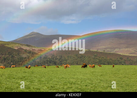 Lake District, Cumbria - ein Regenbogen erhellt den Himmel, mit Lonscale Fell und Skiddaw darüber hinaus - von der Gasse neben dem Castlerigg Steinkreis betrachtet Stockfoto