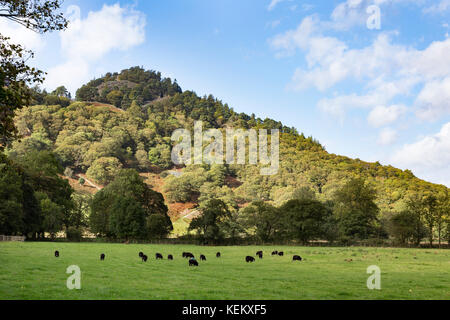 Lake District, Cumbria - Schloss Fels in der Nähe von Rosthwaite, im Borrowdale Stockfoto