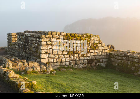 Hadrian's Wall - Housesteads Roman Fort: Die Überreste des Nord-Ost-Intervall-Turm Stockfoto