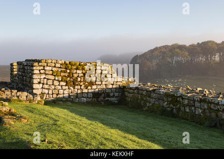 Hadrian's Wall - Housesteads Roman Fort: Die Überreste des Nord-Ost-Intervall-Turm Stockfoto