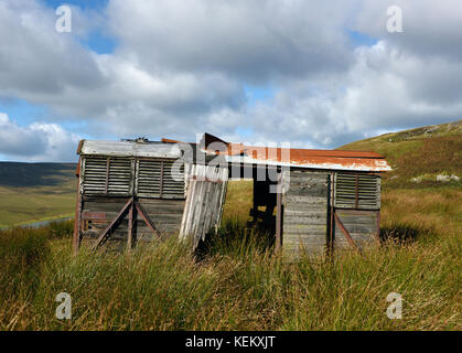 Verlassenen Eisenbahnwaggon als Scheune genutzt. Birk Dale, Yorkshire Dales National Park, Yorkshire, England, Vereinigtes Königreich, Europa. Stockfoto