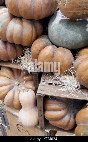 Eataly Stores in Mailand, Via 25 Aprile, Italien Stockfoto