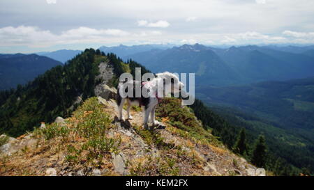 Erkunden Sie Washington State, der großen pazifischen Nordwesten Stockfoto