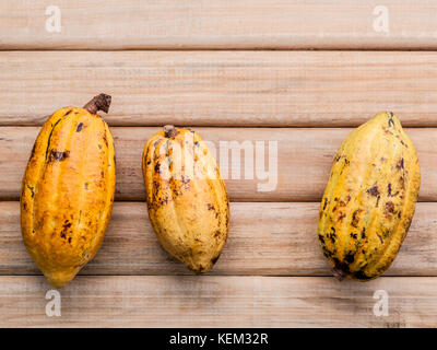 Von ripe Indonesien Kakao setup auf rustikalen Holzmöbeln Hintergrund. Stockfoto