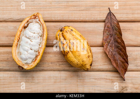 Von ripe Indonesien Kakao setup auf rustikalen Holzmöbeln Hintergrund. Stockfoto