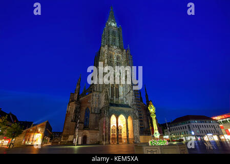 Ulmer Lutherische Kirche, die höchste Kirche der Welt, zur blauen Stunde gesehen, Deutschland Stockfoto