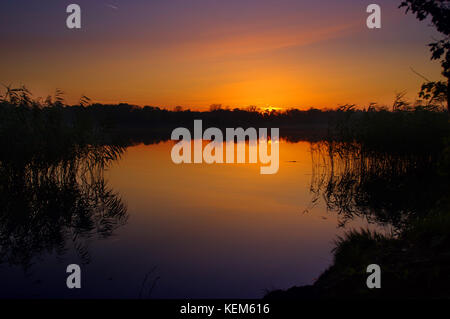 Landschaft von dunklem Blau und Orange Sky auf See. Silhouette von Reed und Reflexion auf dem Wasser. Stockfoto