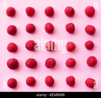 Eine schöne Auswahl an frisch gepflückte reife rote Himbeeren am trendigen rosa Hintergrund. Farbenfrohe Ernährung und gesundes Essen Konzept. Flacher Stil legen. Stockfoto