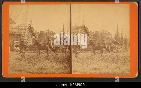 Zuckerrohr Mühle, von Ryan, D.J., 1837 Stockfoto