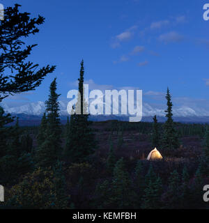 Camping im Denali National Park Stockfoto