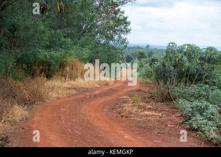 Land straße durch ein landwirtschaftliches Feld Stockfoto