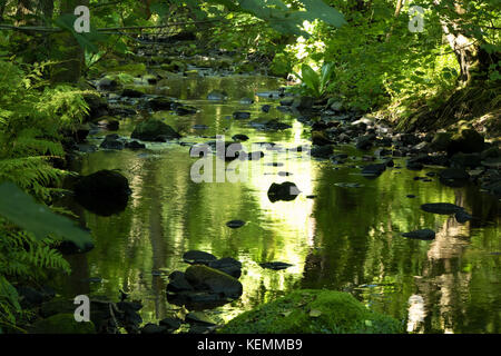 Grünen und Weißen Reflexionen Beleuchten eines flachen felsigen Stream, Birk Crag, Harrogate, North Yorkshire. Stockfoto