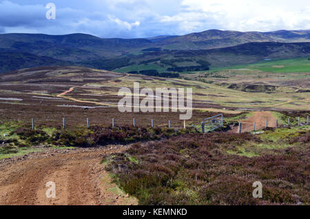 Titel, die an der der Hügel von saughs vom Gipfel des schottischen Berge Corbett mount battock aus im Glen Esk, Angus, Scottish Highlands. de. Stockfoto