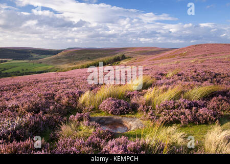 Cleveland Hills von battersby Moor North York Moors National Park North Yorkshire Stockfoto