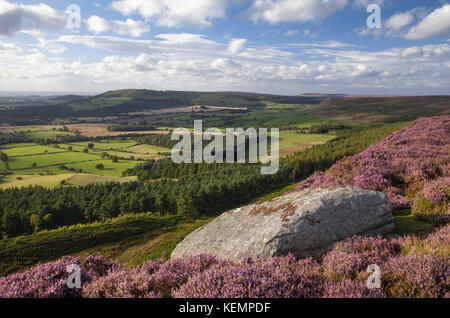 Cleveland Hills von battersby Moor North York Moors National Park North Yorkshire Stockfoto