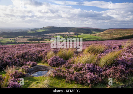 Cleveland Hills von battersby Moor North York Moors National Park North Yorkshire Stockfoto