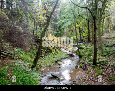 Gore Wasser, in der Nähe von Borthwick Castle, wo Maria, Königin von Schottland übernachtet, Midlothian, Schottland im Herbst Stockfoto