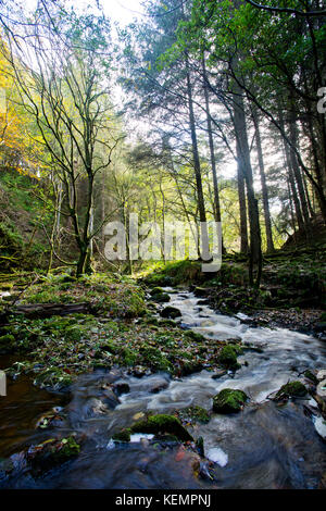 Gore Wasser, in der Nähe von Borthwick Castle, wo Maria, Königin von Schottland übernachtet, Midlothian, Schottland im Herbst Stockfoto