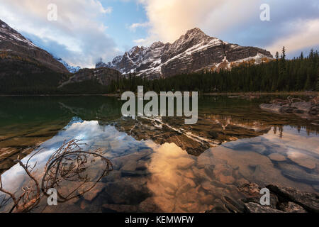 Ein Herbst morgen am See ohara, Yoho nationational Park, Kanada. Die Lärche auf dem Schaffer Berg drehte sich Goldgelb. Stockfoto