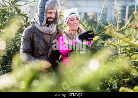 Paar kaufen Weihnachtsbaum auf dem Markt Stockfoto