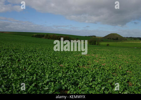 Silbury Hill, Wilshire, Vereinigtes Königreich Stockfoto