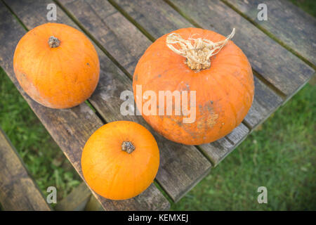High-Angle Shot von drei Kürbisse auf einem hölzernen Tisch im Freien, Großbritannien Stockfoto