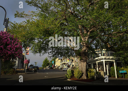 Main Street (Spring Street) von Friday Harbor, San Juan Inseln, Washington State, wie vom Hafen gesehen; hängenden Blumenkörben, großen Baum, morgen. Stockfoto