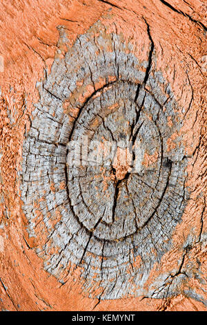 Natutal Holz- Hintergrund. altem Holz. Stockfoto