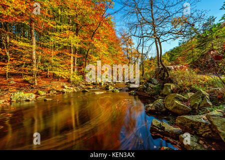 Herbstliche Torrents und kleinen Wasserfällen im Hoegne-Tal, belgische Ardennen Stockfoto