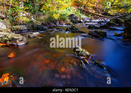 Herbstliche Torrents und kleinen Wasserfällen im Hoegne-Tal, belgische Ardennen Stockfoto