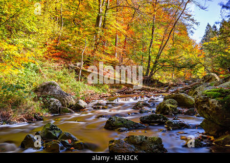 Herbstliche Torrents und kleinen Wasserfällen im Hoegne-Tal, belgische Ardennen Stockfoto