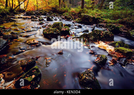 Herbstliche Torrents und kleinen Wasserfällen im Hoegne-Tal, belgische Ardennen Stockfoto