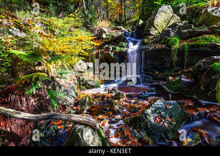 Herbstliche Torrents und kleinen Wasserfällen im Hoegne-Tal, belgische Ardennen Stockfoto