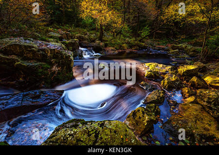 Herbstliche Torrents und kleinen Wasserfällen im Hoegne-Tal, belgische Ardennen Stockfoto