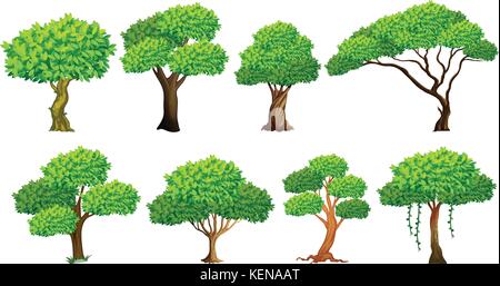 Abbildung: ein Satz von vielen Bäumen Stock Vektor